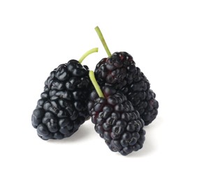 Photo of Three ripe black mulberries on white background