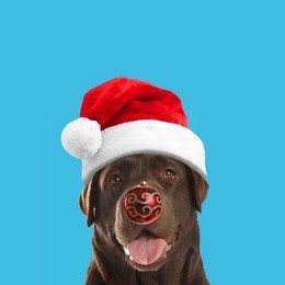 Adorable dog in Santa hat with red Christmas ball nose on light blue background