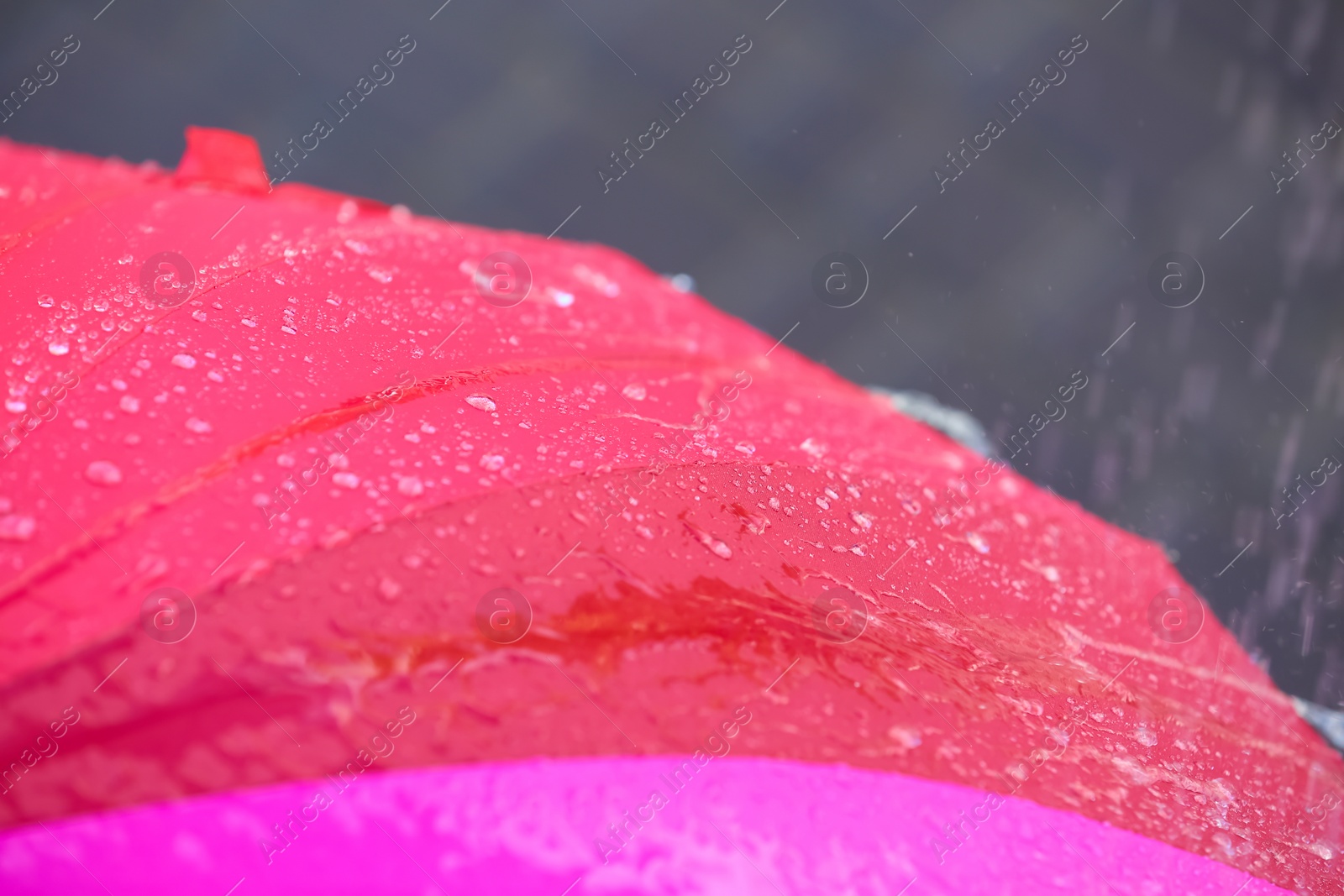 Photo of Bright color umbrella under rain outdoors, closeup