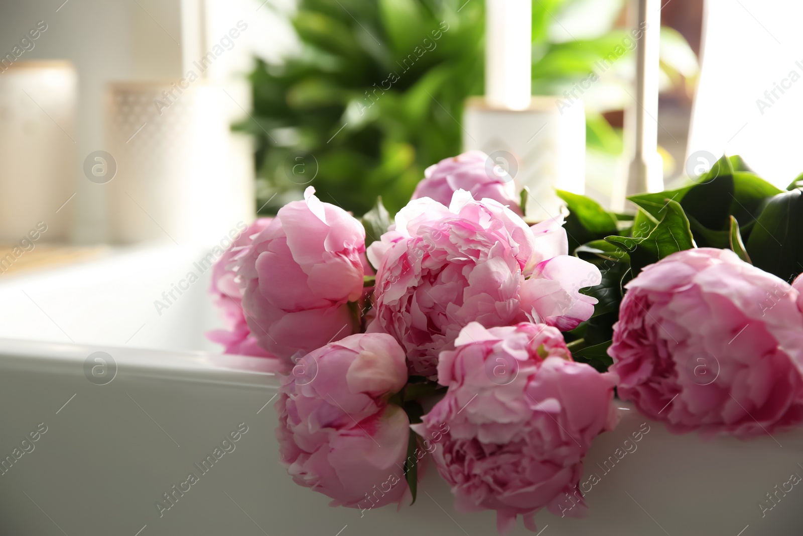 Photo of Bouquet of beautiful pink peonies in kitchen sink