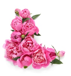 Photo of Fragrant peonies on white background, top view. Beautiful spring flowers