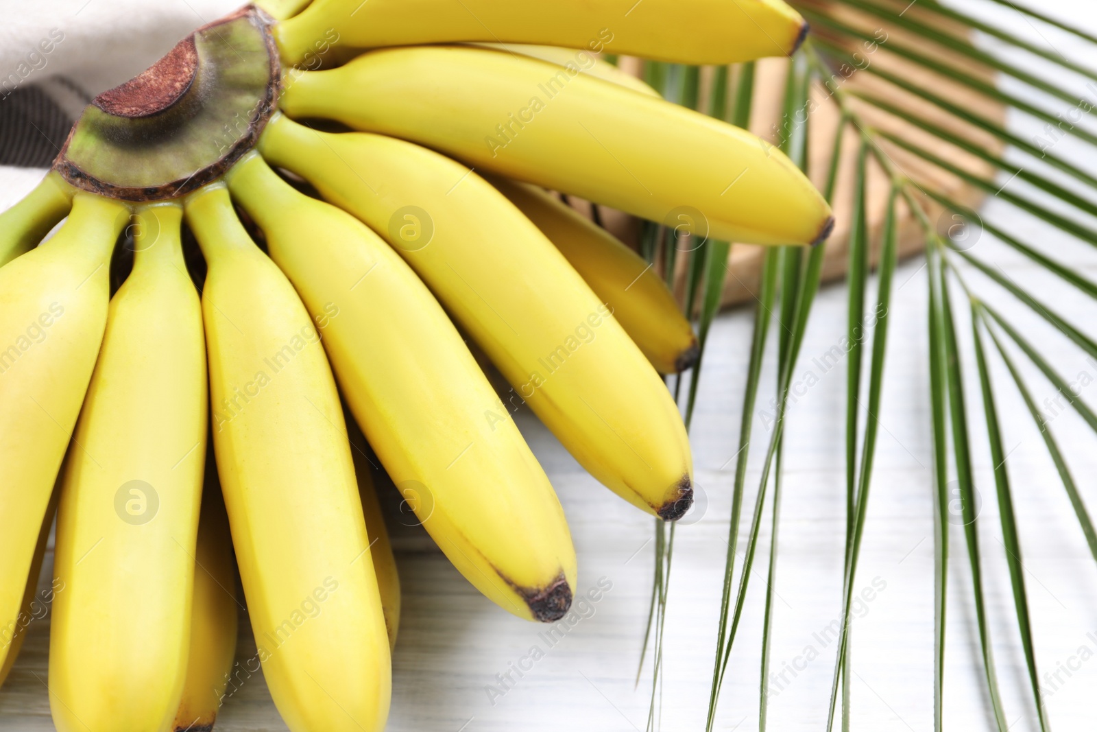 Photo of Bunch of ripe baby bananas and green leaf on table, closeup