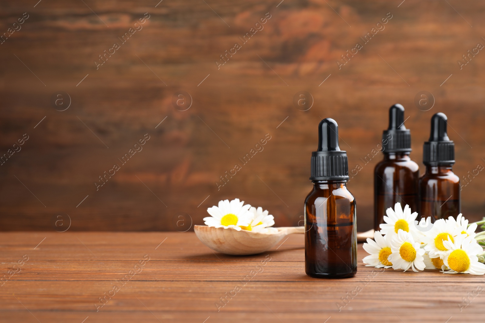 Photo of Bottles of chamomile essential oil and flowers on wooden table, space for text