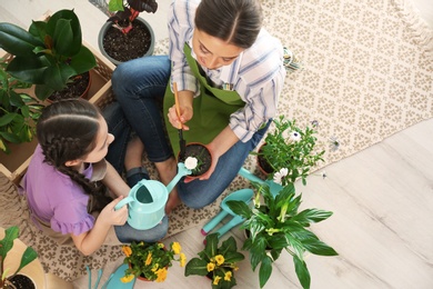 Mother and daughter taking care of potted plants on floor at home, top view