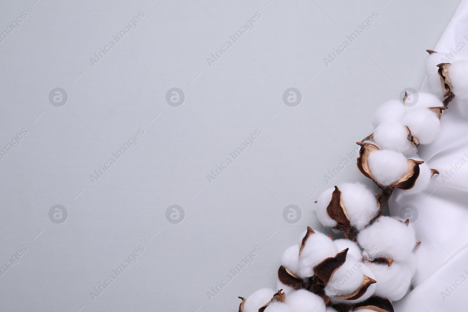 Photo of Cotton branch with fluffy flowers and white fabric on light gray background, top view. Space for text