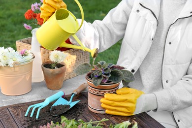 Photo of Woman watering potted flower at table in garden, closeup