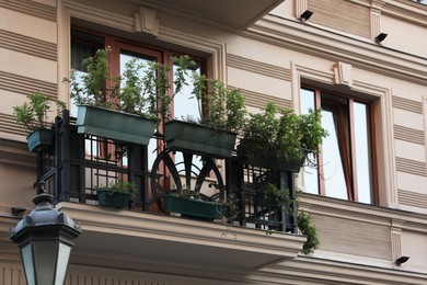 Exterior of beautiful residential building with potted houseplants on balcony