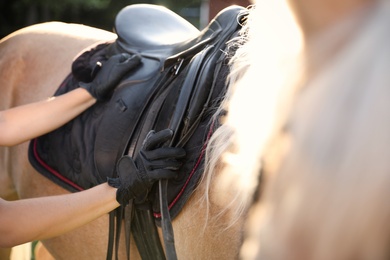 Photo of Young woman putting saddle on horse outdoors, closeup. Beautiful pet