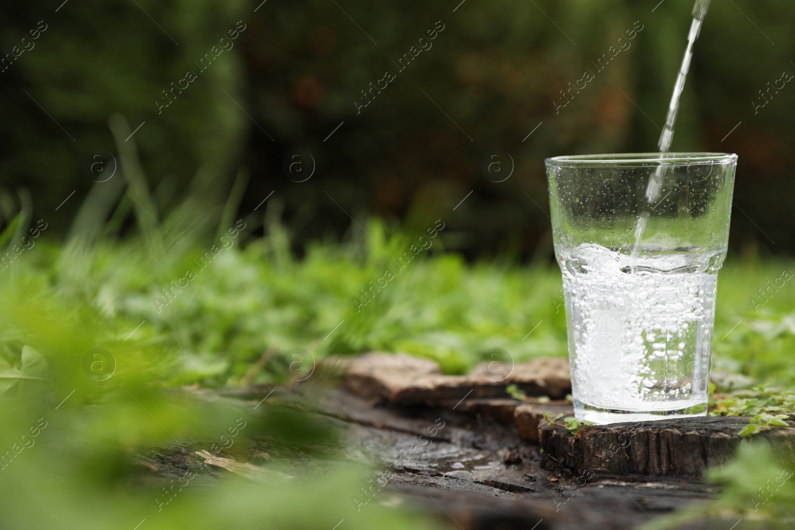 Photo of Pouring fresh water into glass on wooden stump in green grass outdoors. Space for text