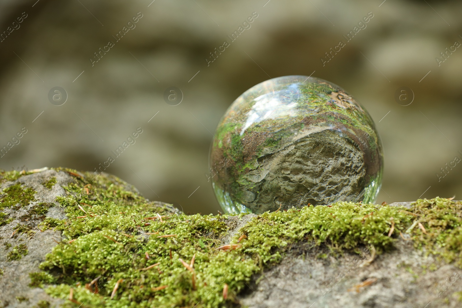 Photo of Beautiful forest, overturned reflection. Crystal ball on stone surface with moss outdoors