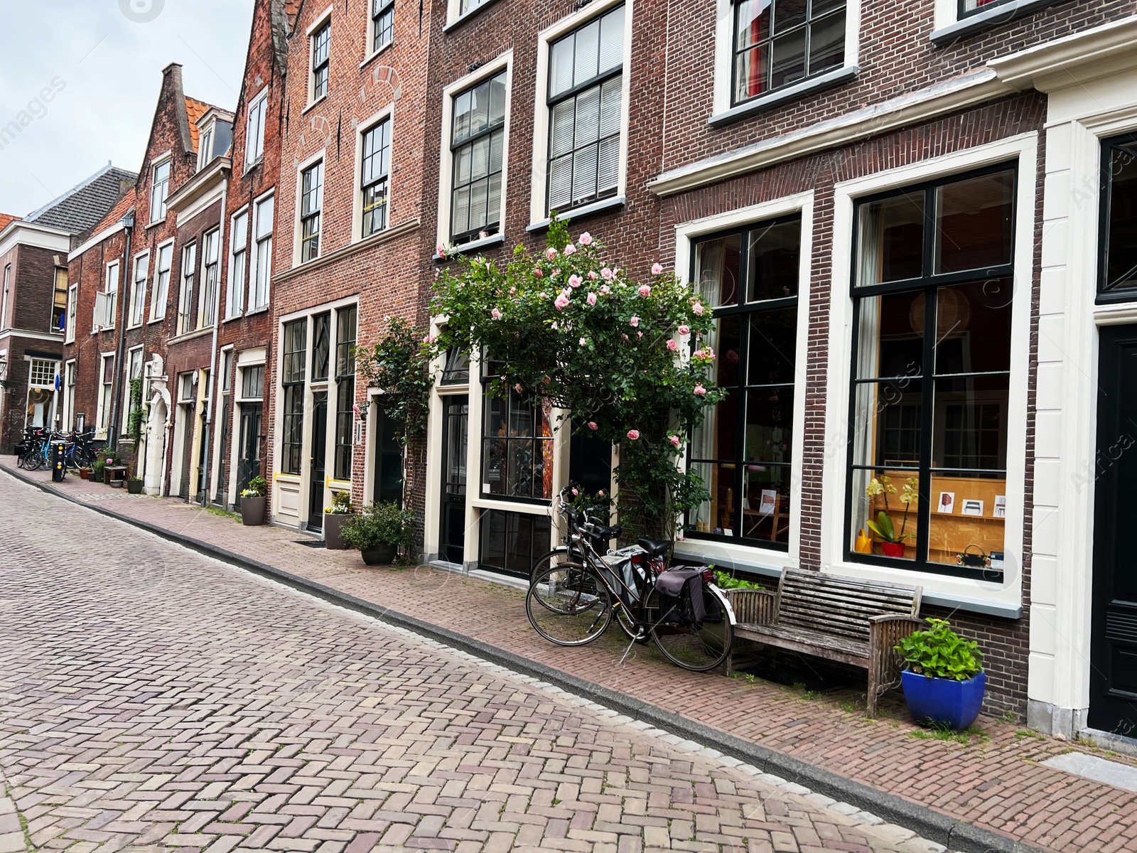 Photo of Beautiful view of city street with bicycles and pink rose bush