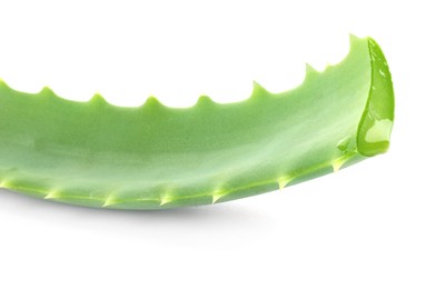 Green aloe vera leaf isolated on white