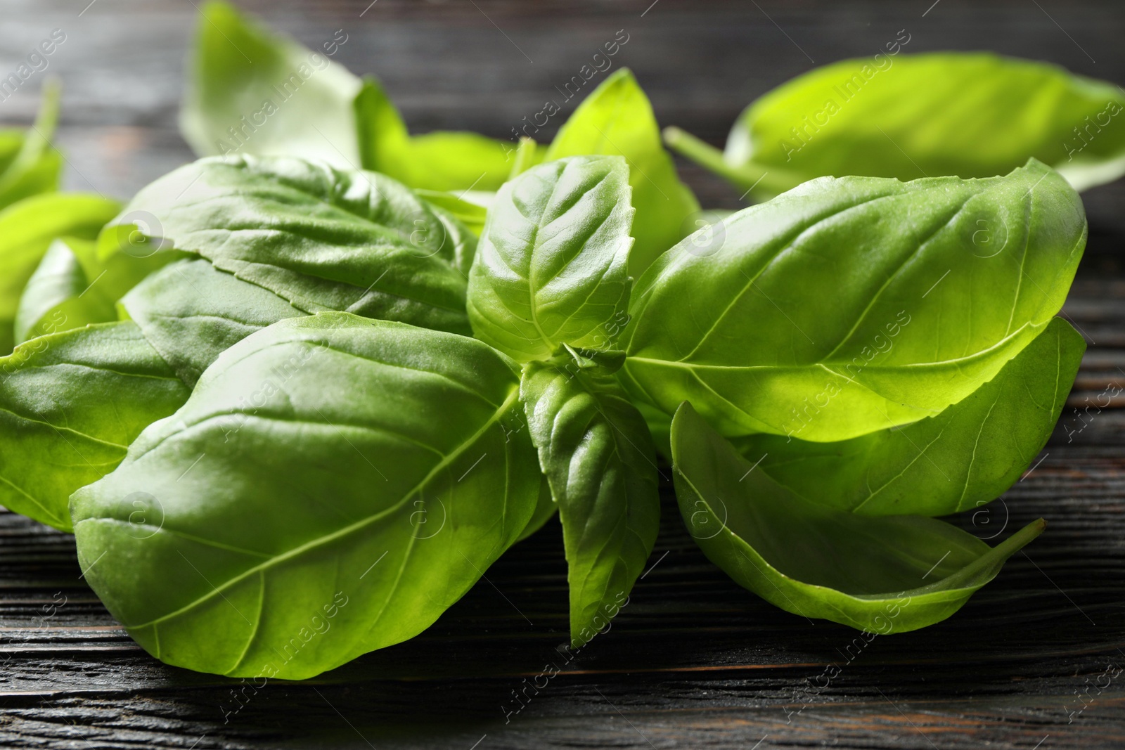 Photo of Fresh green basil on black wooden table, closeup