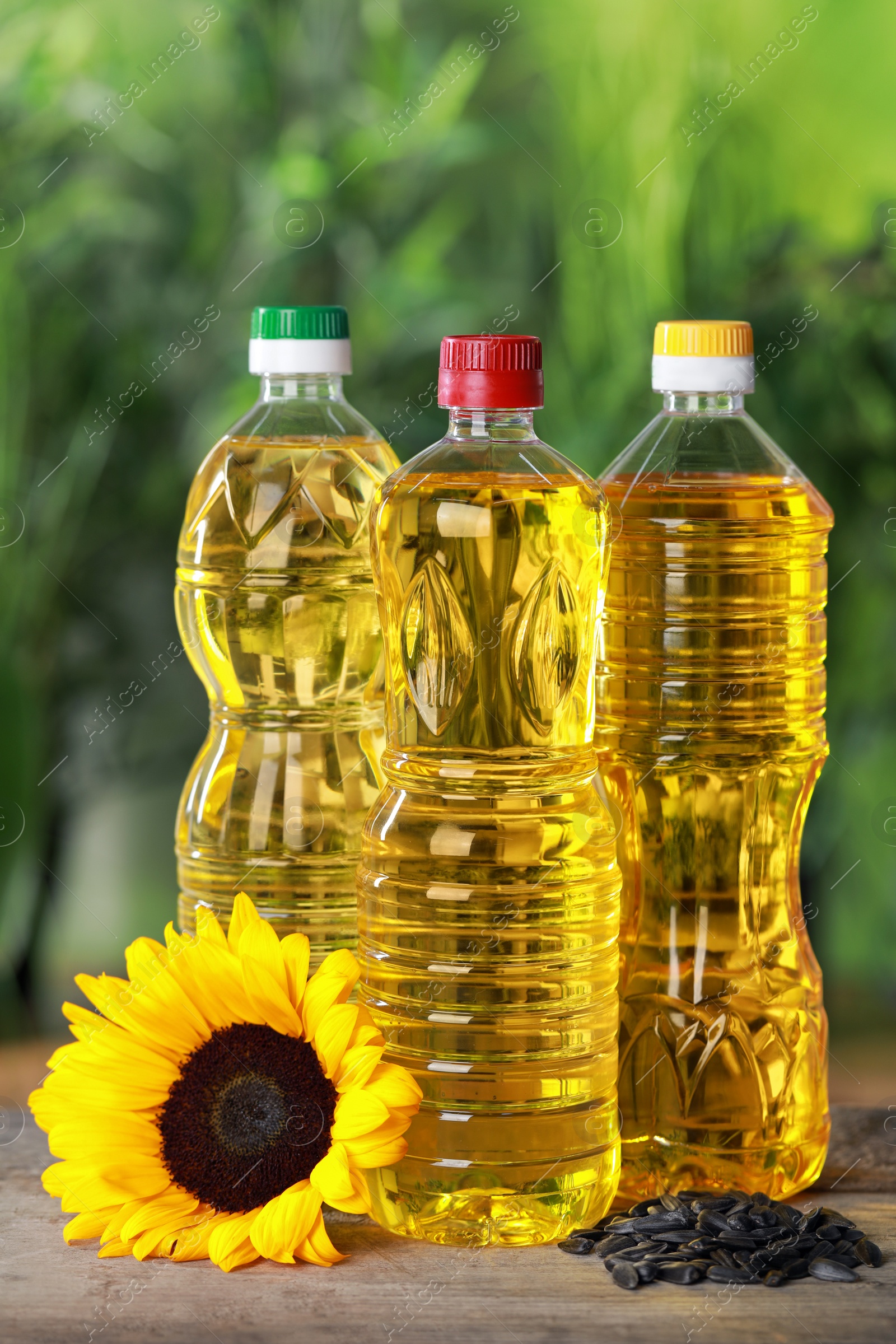 Photo of Bottles of cooking oil, sunflower and seeds on wooden table against blurred background