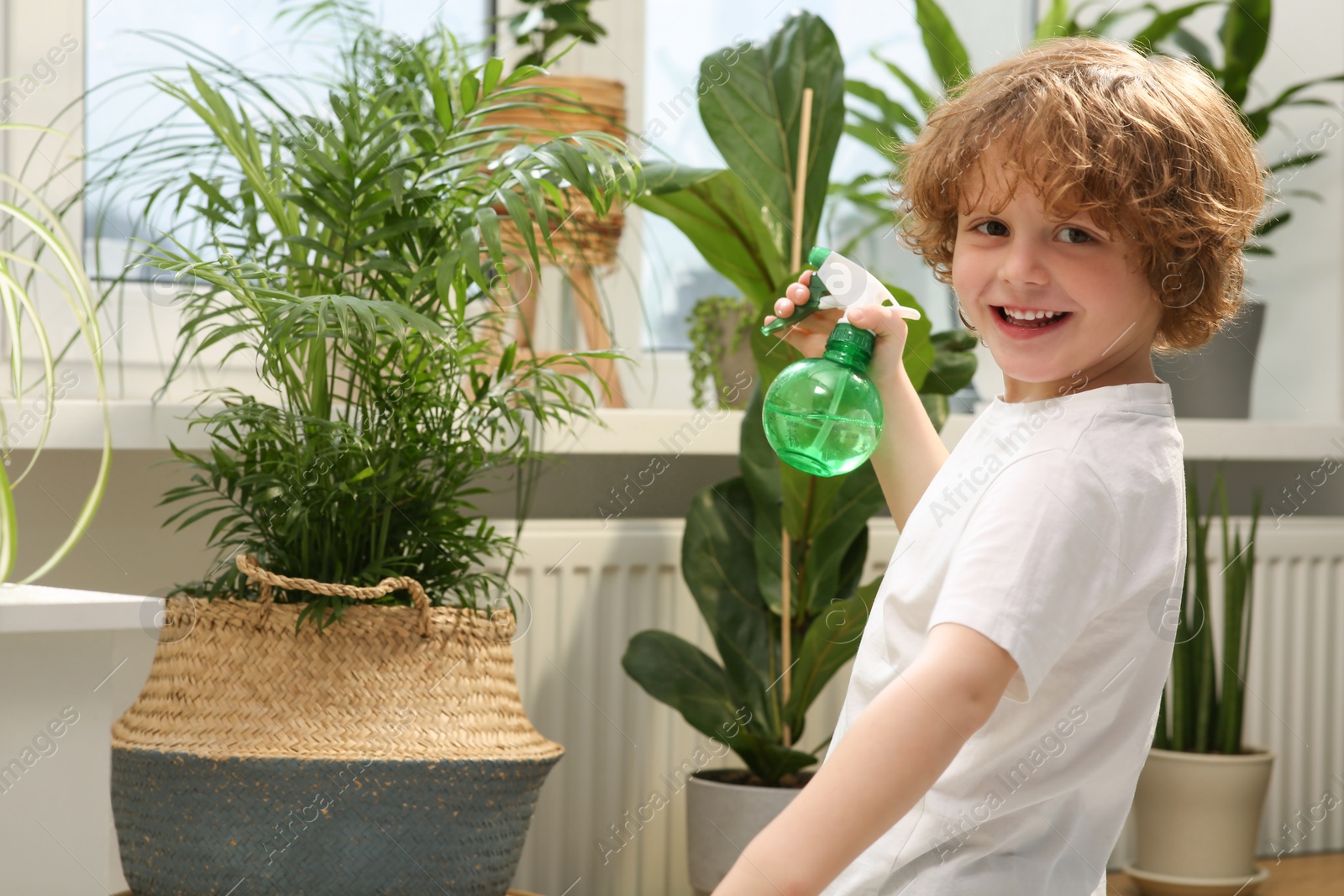 Photo of Cute little boy spraying beautiful green plant at home. House decor