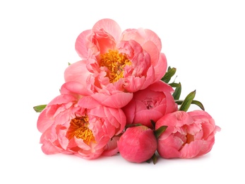 Photo of Beautiful pink peony bouquet isolated on white