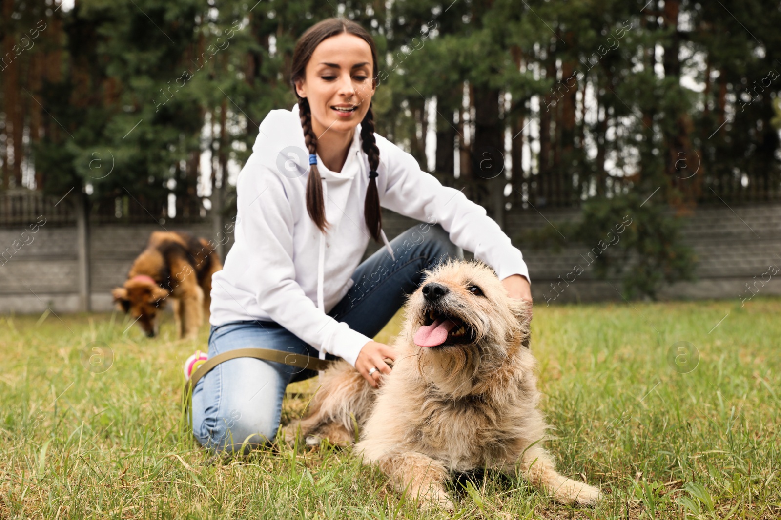 Photo of Female volunteer with homeless dog at animal shelter outdoors