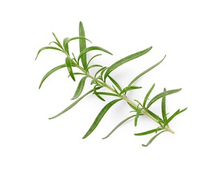 Sprig of fresh rosemary isolated on white, top view