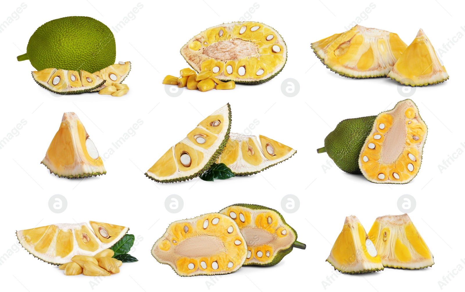 Image of Set with delicious exotic jackfruits on white background