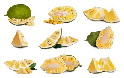 Set with delicious exotic jackfruits on white background