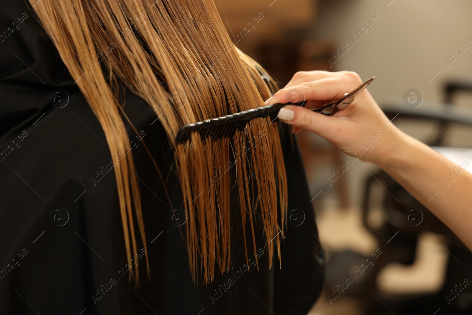 Photo of Professional hairdresser combing girl's hair in beauty salon, closeup