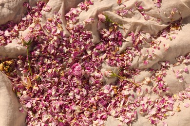 Scattered dried tea rose flowers and petals on beige fabric, top view