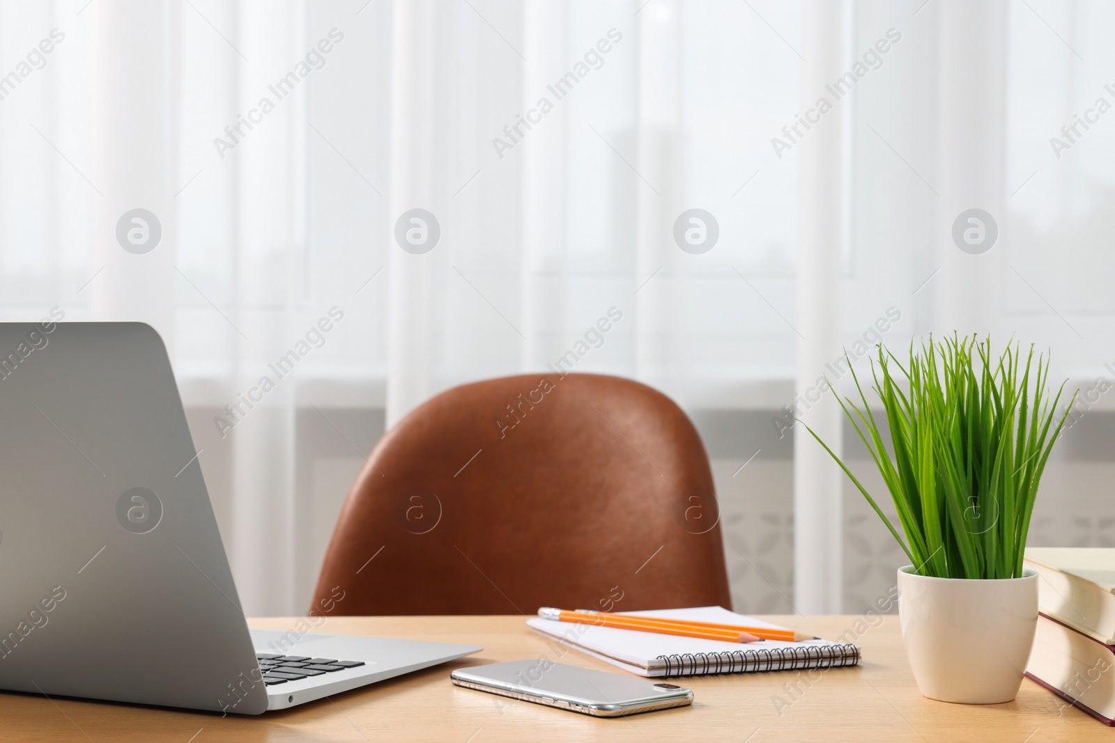 Photo of Home office. Laptop, smartphone, plant and stationery on wooden desk indoors. Space for text