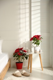 Photo of Poinsettias in light cozy room. Interior design