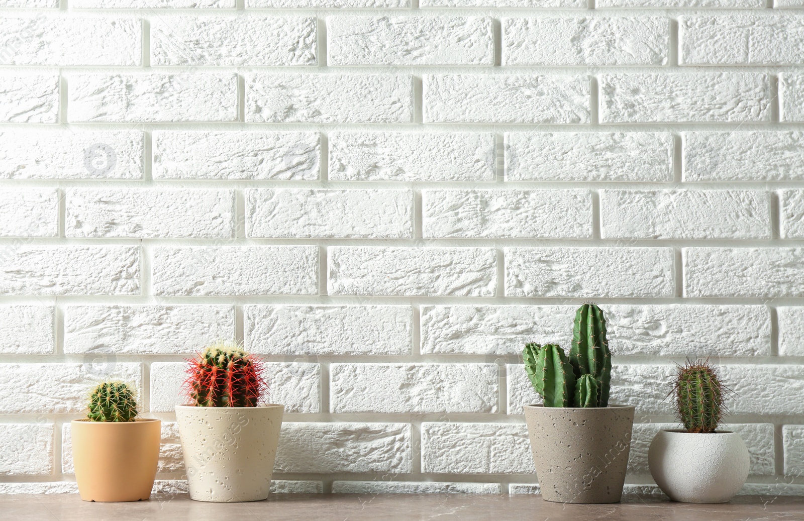 Photo of Different potted cacti on table near brick wall, space for text. Interior decor