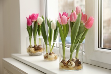 Beautiful tulips with bulbs on window sill indoors