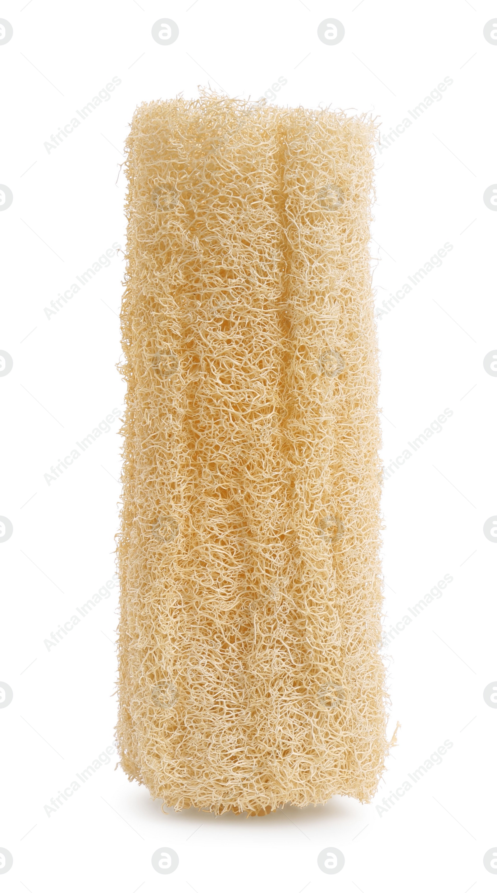 Photo of Loofah sponge isolated on white. Personal hygiene product