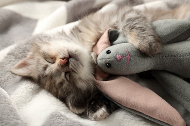 Photo of Cute kitten sleeping with toy on blanket