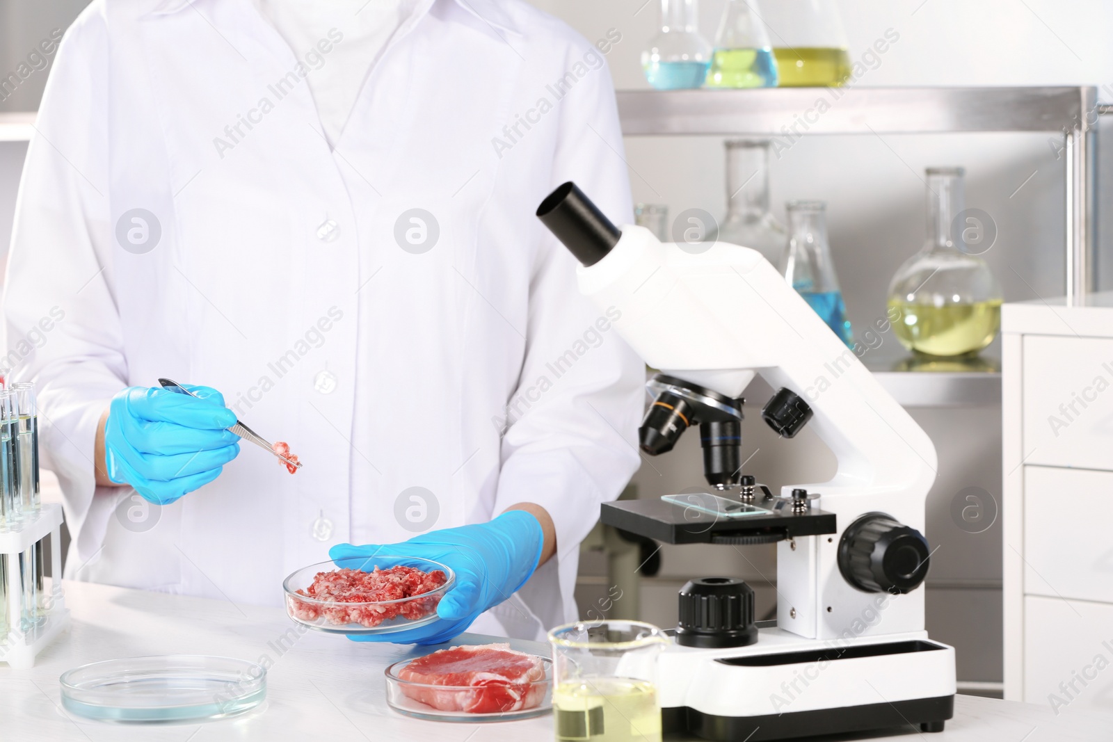 Photo of Scientist holding Petri dish with forcemeat over table in laboratory. Food quality control