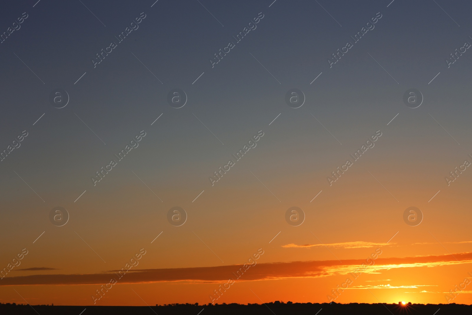 Photo of Picturesque view of beautiful sunrise. Morning sky