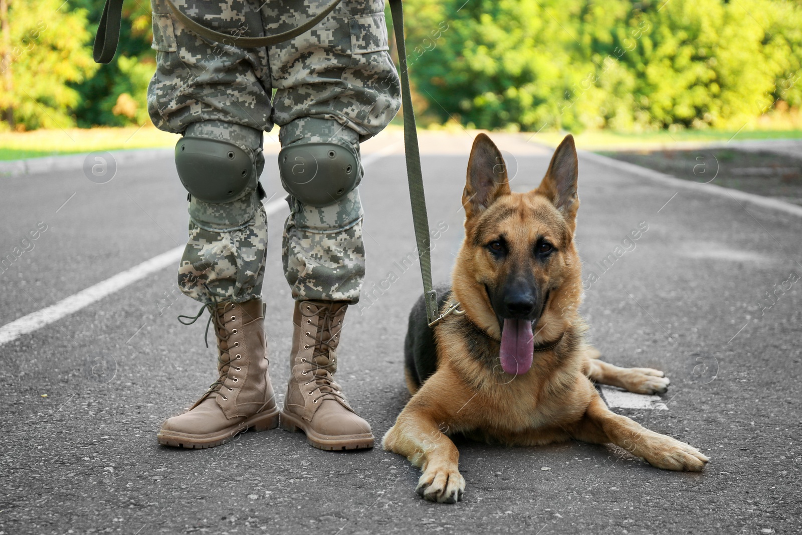 Photo of Man in military uniform with German shepherd dog outdoors, closeup