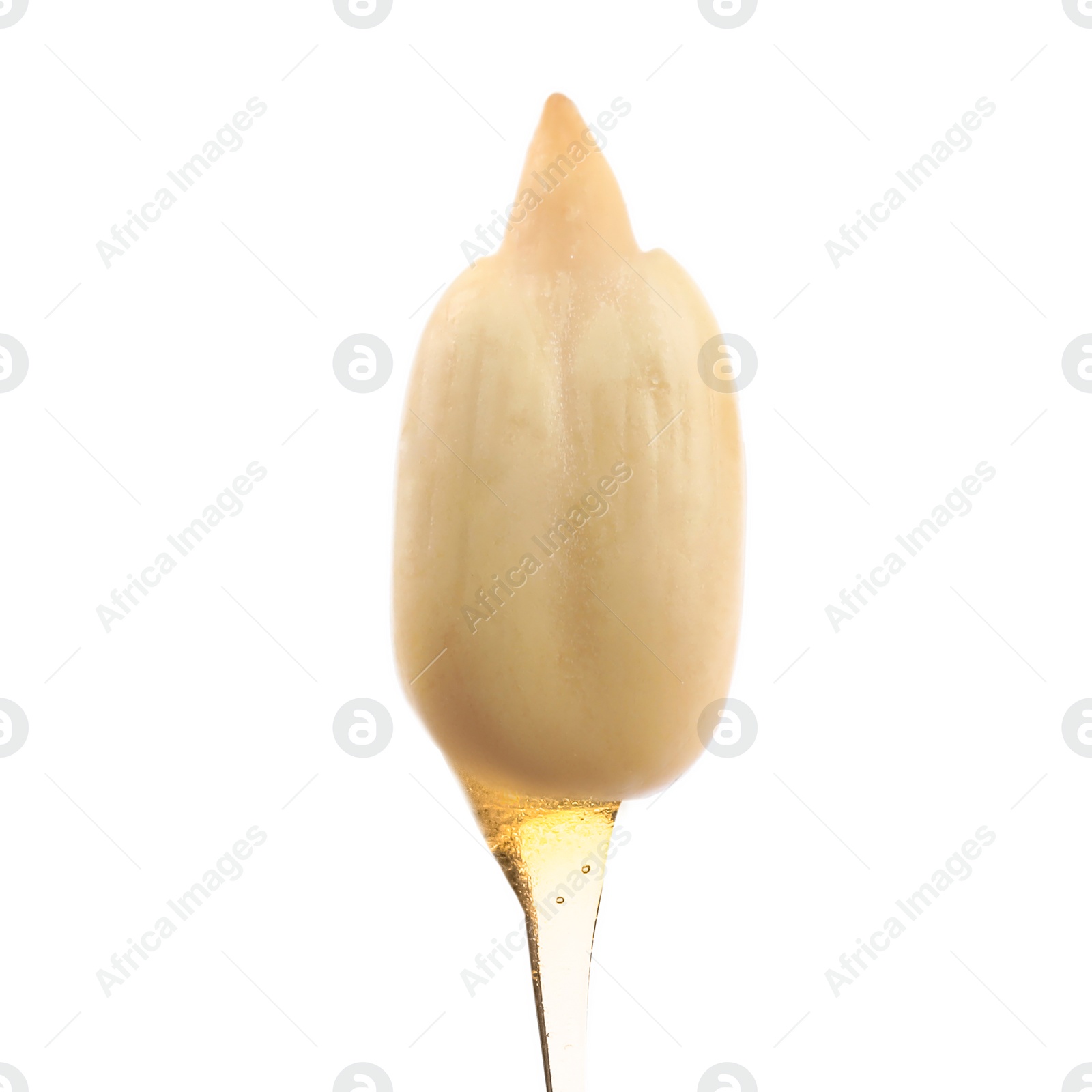 Image of Sunflower seed with oil on white background