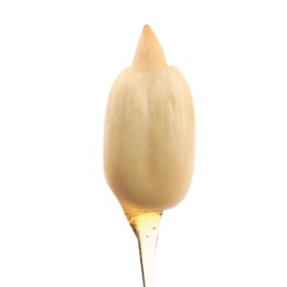 Image of Sunflower seed with oil on white background