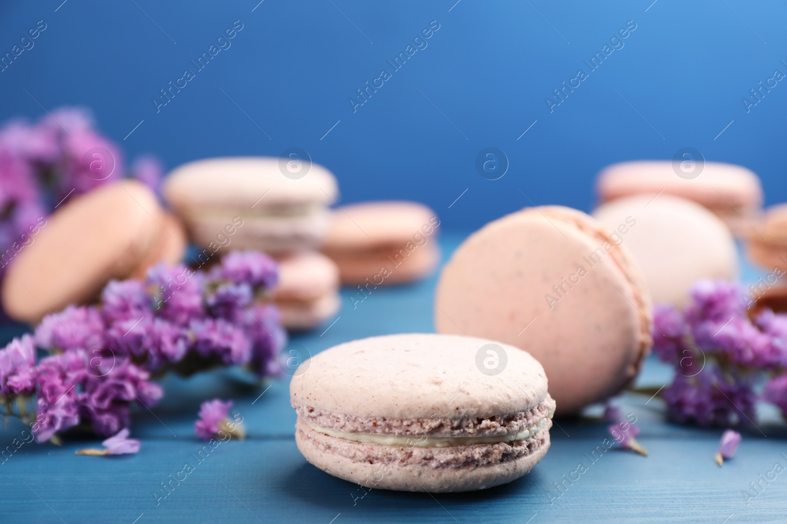 Photo of Delicious macarons and flowers on blue wooden table, closeup