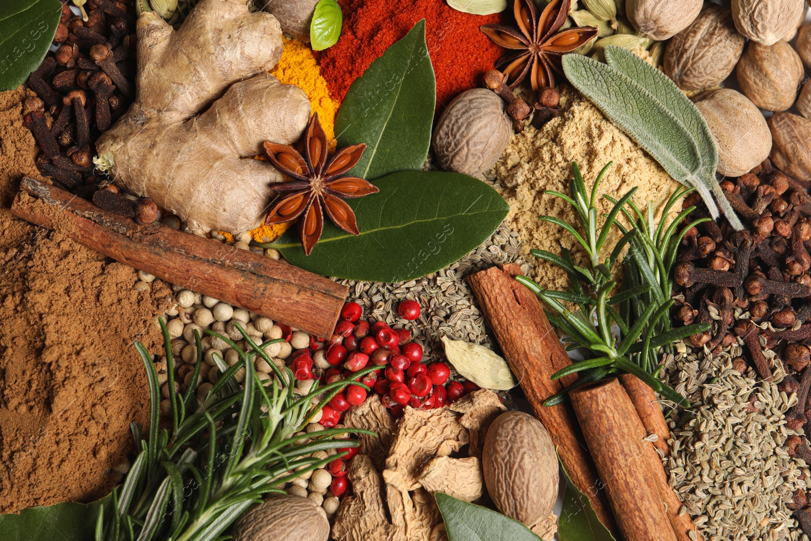 Photo of Different fresh herbs with aromatic spices as background, top view