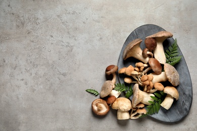 Photo of Flat lay composition with different mushrooms on light grey background, space for text