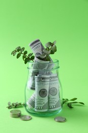 Financial savings. Dollar banknotes in glass jar, twigs and coins on green background