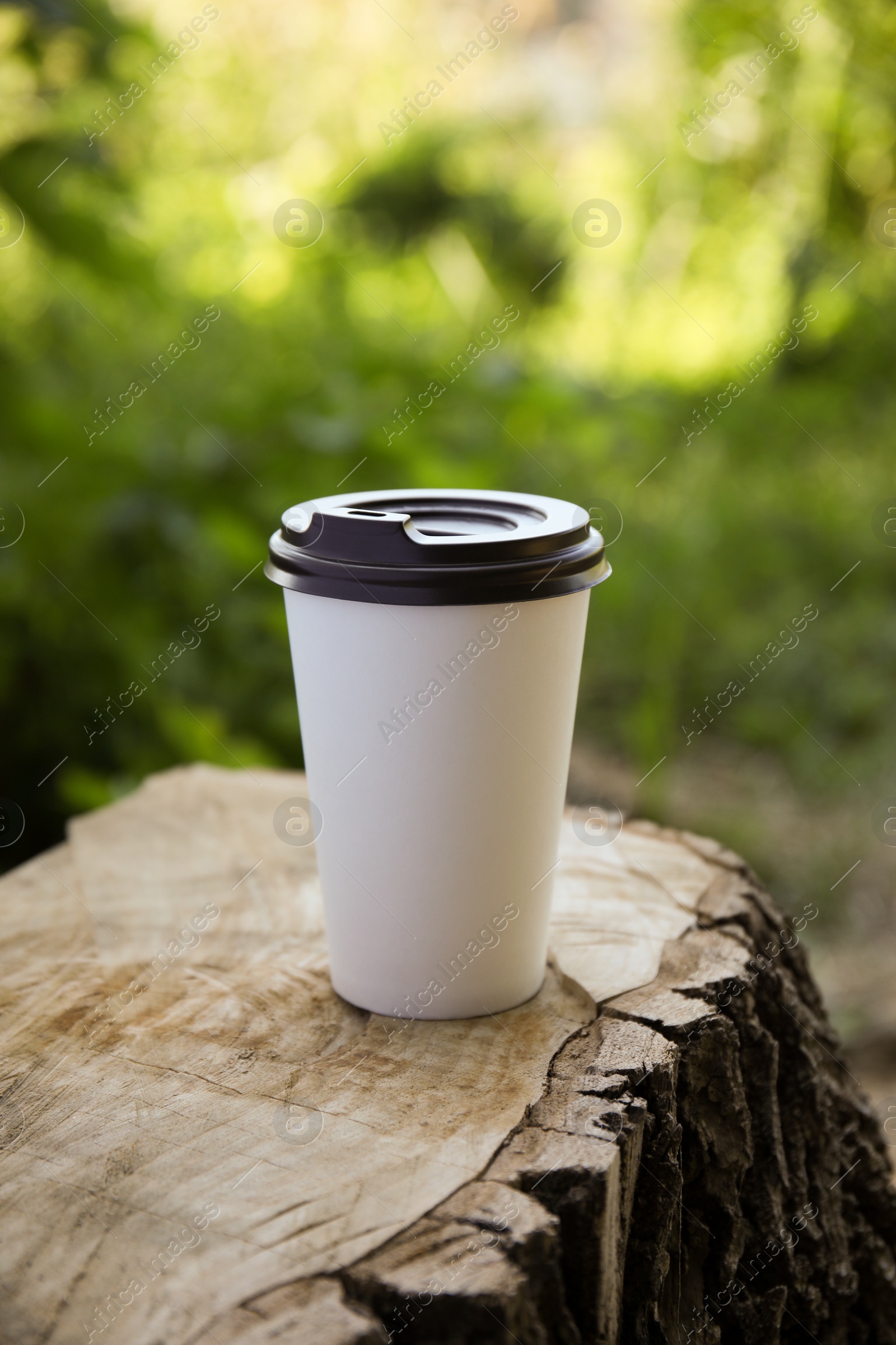 Photo of Takeaway cardboard coffee cup with plastic lid on stump outdoors