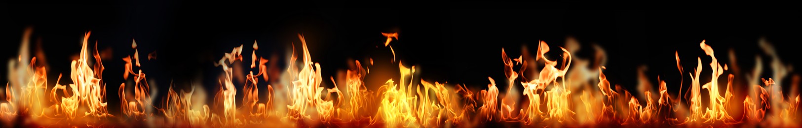 Image of Bright fire flames on black background. Banner design