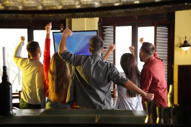 Group of friends watching football in sport bar, back view