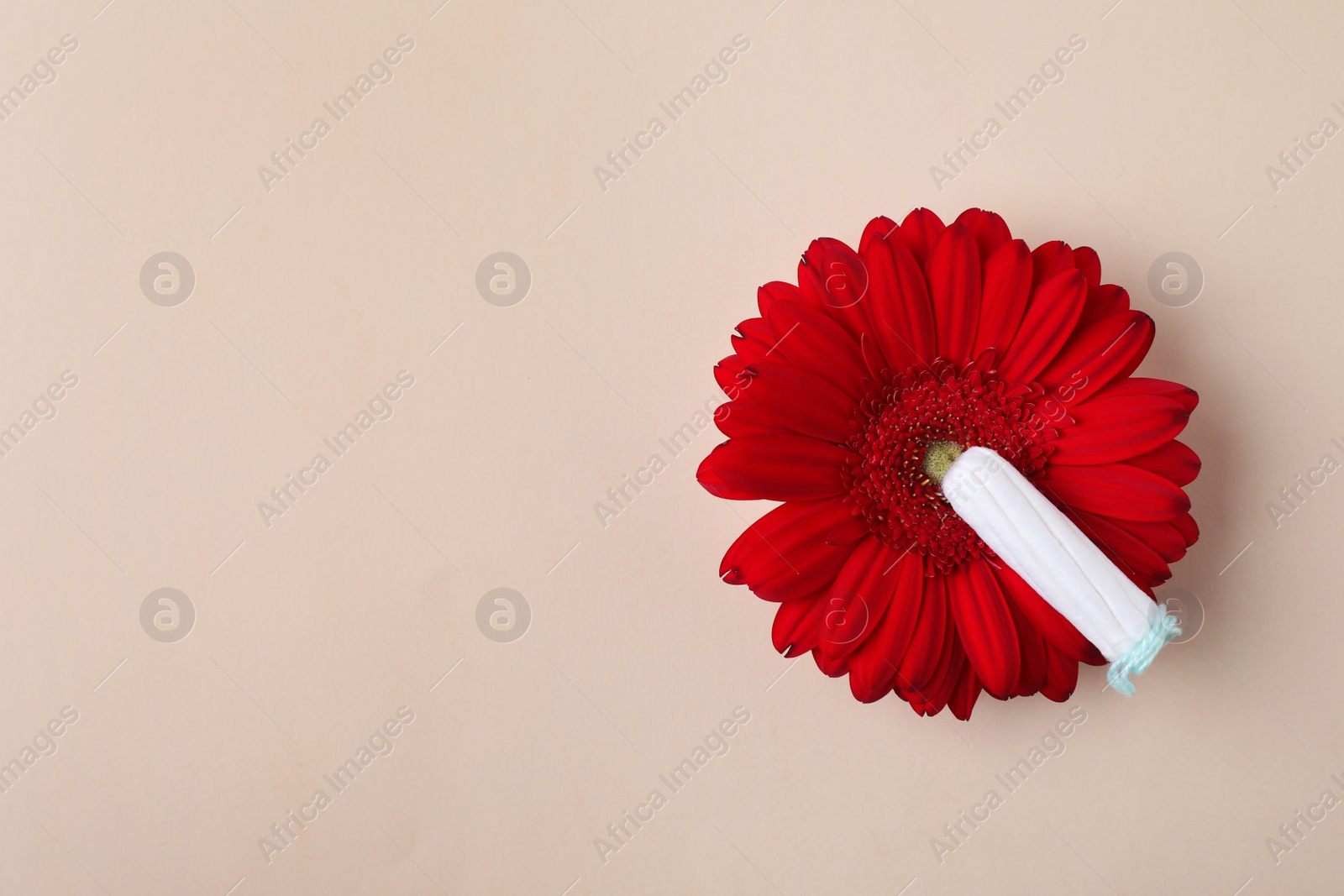 Photo of Flower and tampon on color background, flat lay with space for text. Gynecological care