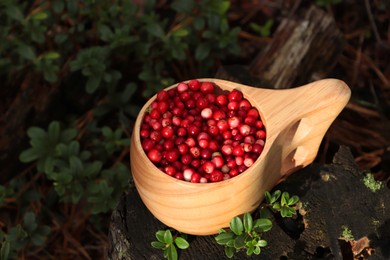 Photo of Many ripe lingonberries in wooden cup outdoors