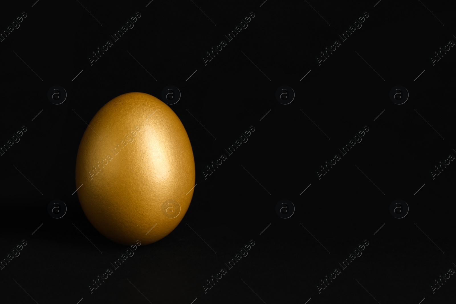 Photo of Shiny golden egg on black background, space for text