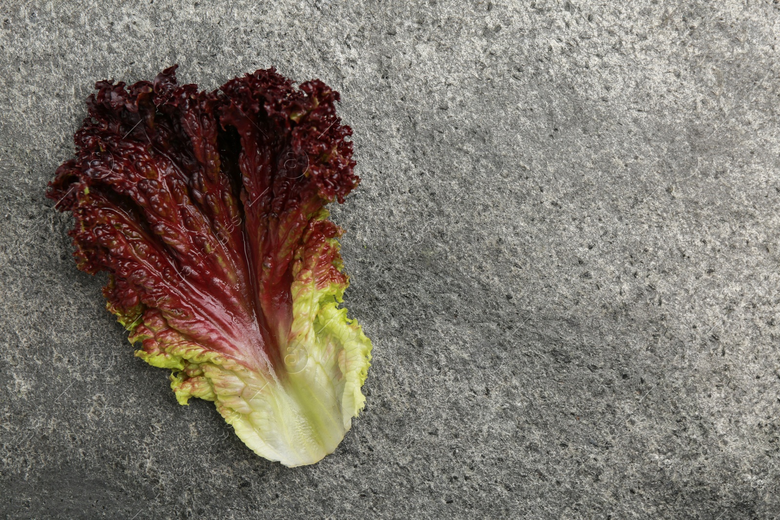 Photo of Leaf of fresh red coral lettuce on grey table, top view. Space for text