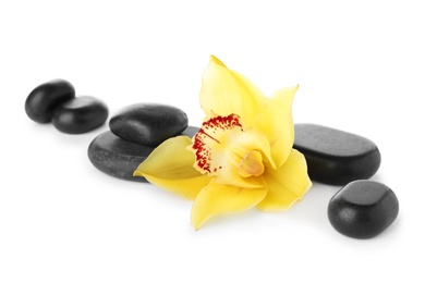 Spa stones and beautiful orchid on white background