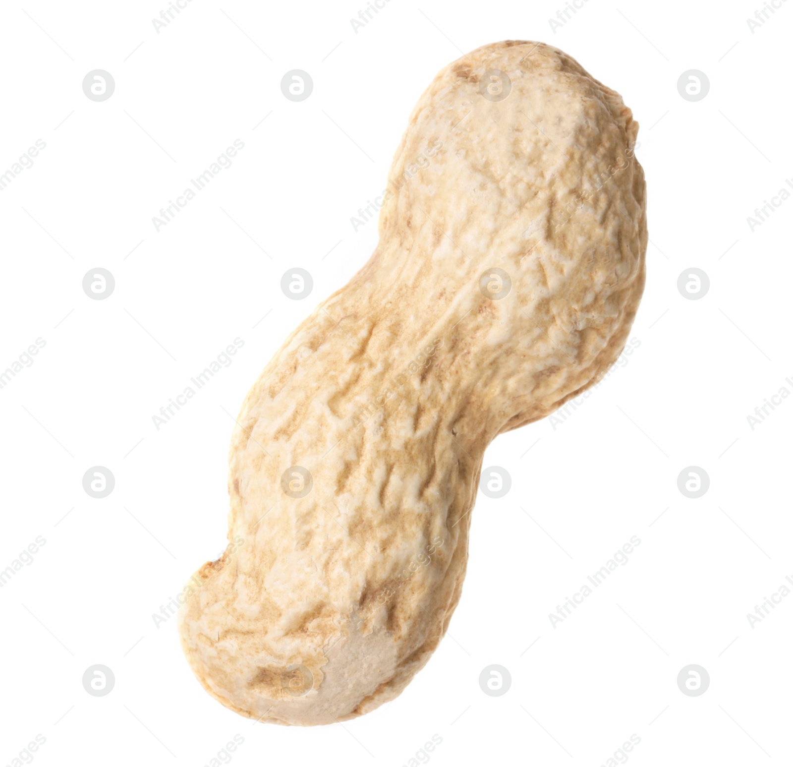 Photo of One fresh unpeeled peanut isolated on white